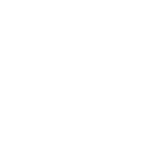 RoSPA Gold Medal 2024